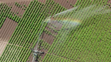 aérea de arriba hacia abajo, formación de arco iris, riego de pivote central pistola final riego cultivos agrícolas