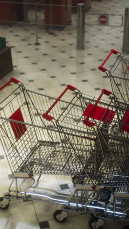 carros de compras vacíos en una tienda de comestibles