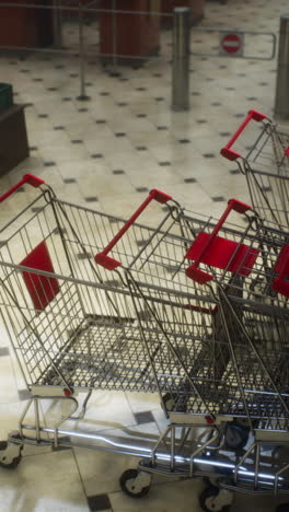 empty shopping carts in a grocery store