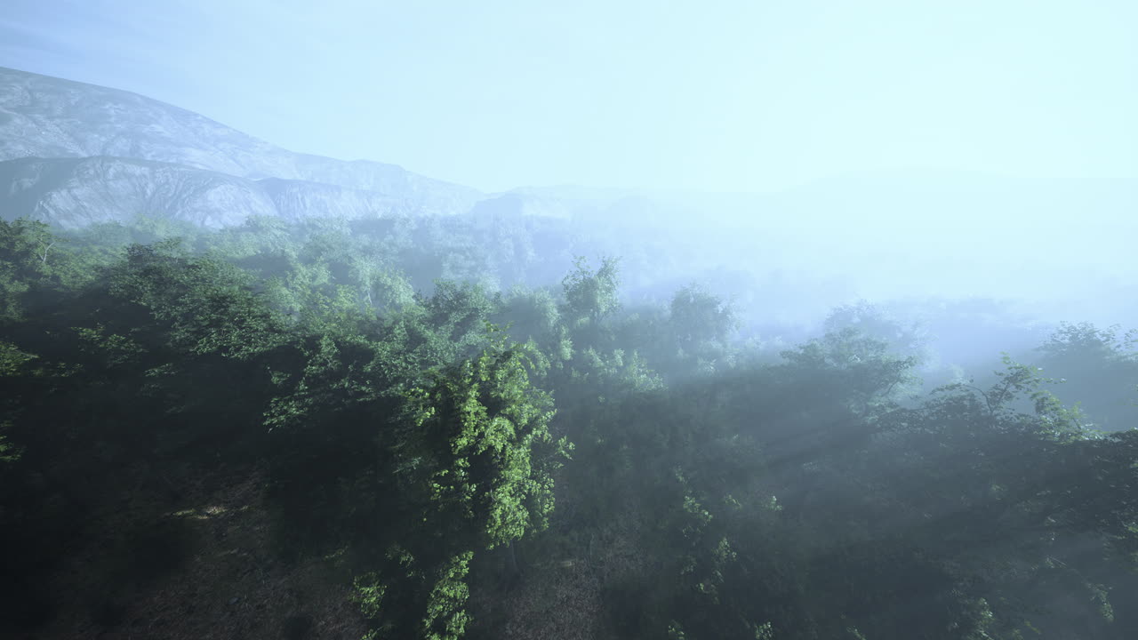 울창 한 열 대 우림에서 아침 안개