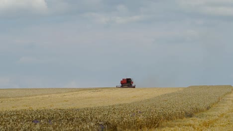 wheat harvest. combine harvester working on the wheat field. food industry concept.