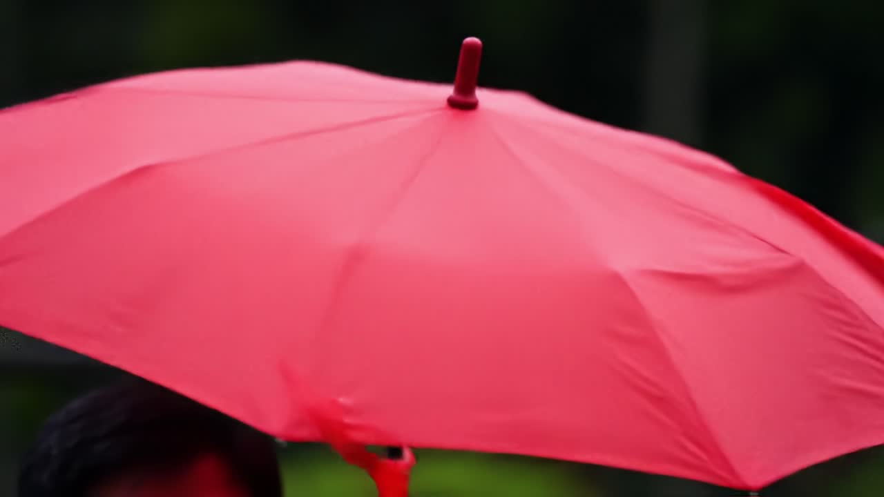 A person holds a bright red umbrella while enjoying time outdoors on a sunny day. The vibrant color adds a cheerful touch to the relaxing atmosphere in the park.