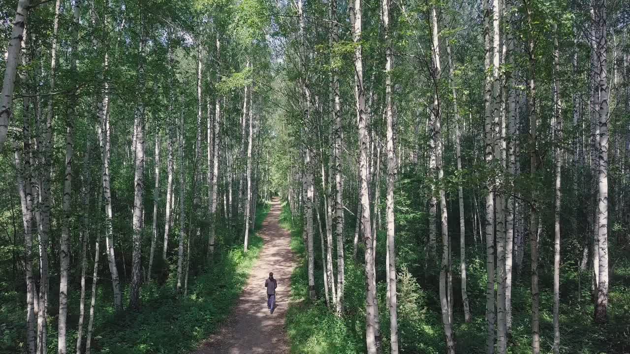 Kävely koivumetsässä