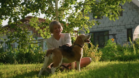 pet lover using grooming glove to rub dog's back with warm smile on grassy field, dog looks content under sunlight, outdoor setting with blur background featuring greenery and building