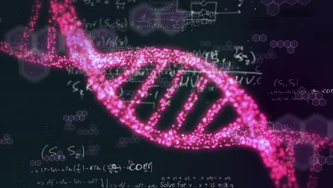 Animación-De-Una-Cepa-De-ADN-Formada-Por-Puntos-Rosas-Sobre-Ecuaciones-Matemáticas.