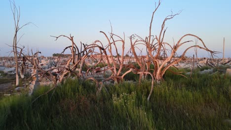 antena revela trágica vista de ruinas de villa epecuén tras histórica inundación