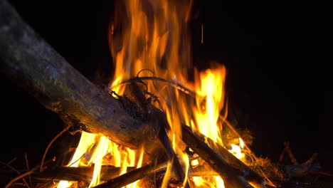 por la noche, una gran hoguera arde. la hoguera de las ramas arde en la naturaleza.