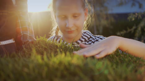 The-child-strokes-the-sprouts-of-green-grass,-a-piece-of-land-with-grass-is-held-in-the-hands-of-a-farmer.