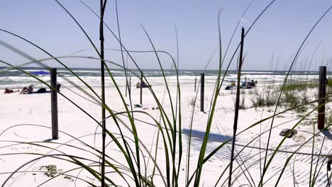 la avena de mar y la playa en deer lake beach florida