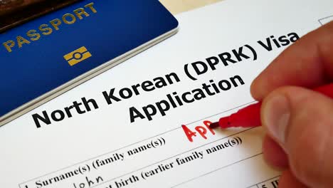 approved in north korean dprk visa application form