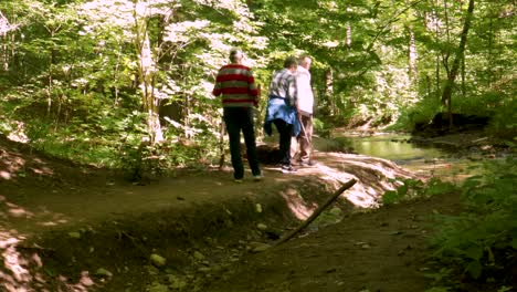 A-group-of-people,-one-visually-impaired,-hike-along-the-bank-of-a-meandering-stream