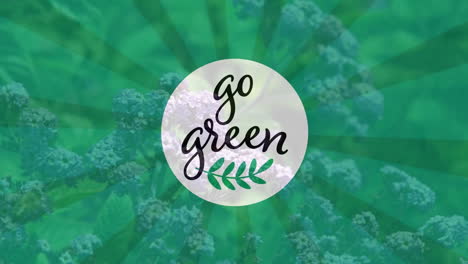 animación de texto verde en círculo blanco con tallo de hoja sobre un primer plano de flores.