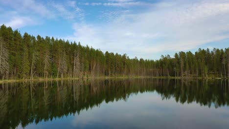 Vista-Aérea-Del-Lago-Y-El-Bosque-En-Finlandia.-Hermosa-Naturaleza-De-Finlandia.