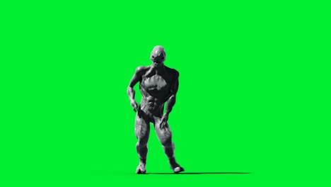 animación de monstruos aterradores. físico, movimiento, desenfoque. animación realista en 4k. pantalla verde