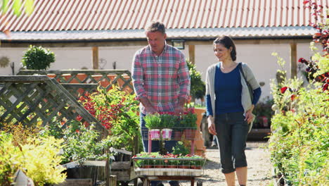 mature couple customer buying plants and putting them on trolley in garden center