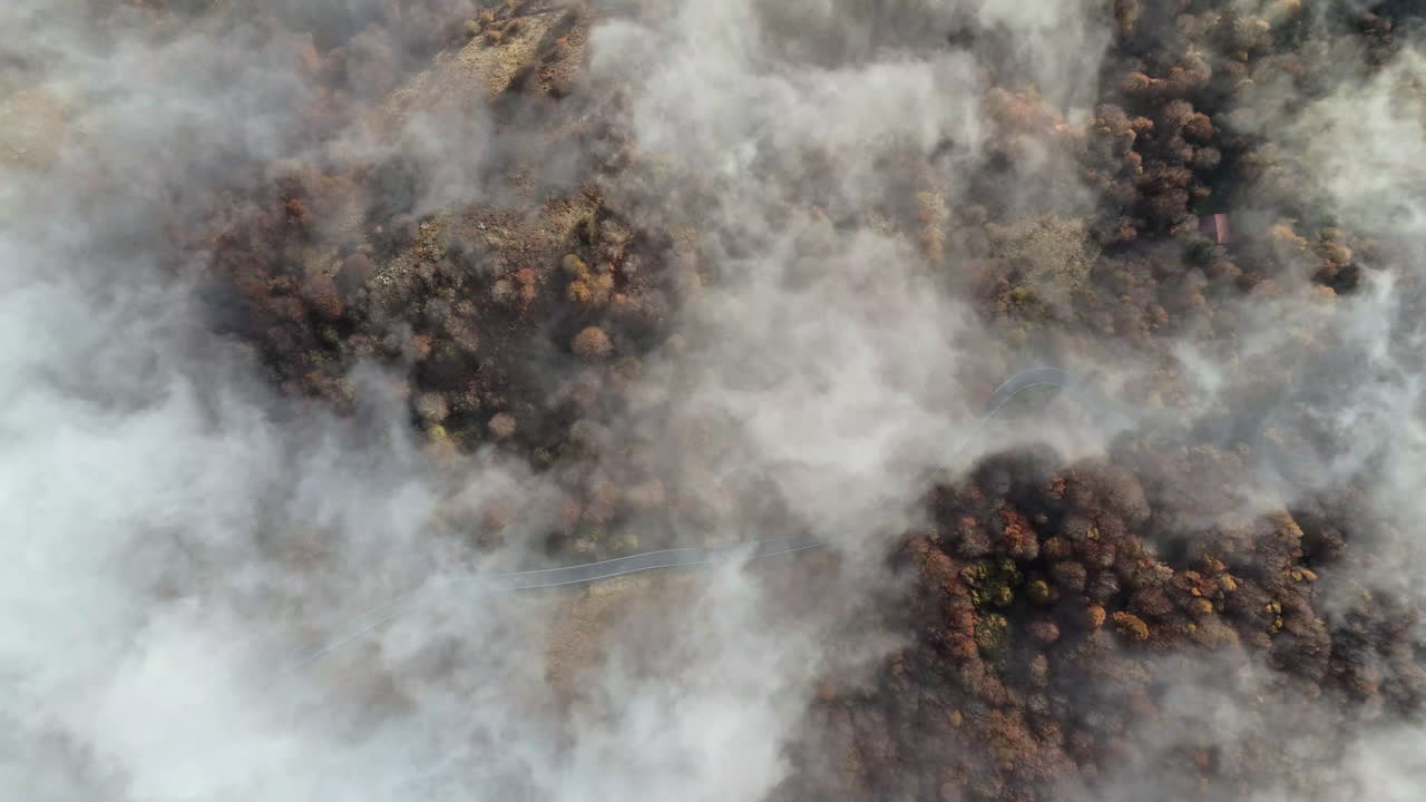 Smoke over forest showing nature's power and environmental impact