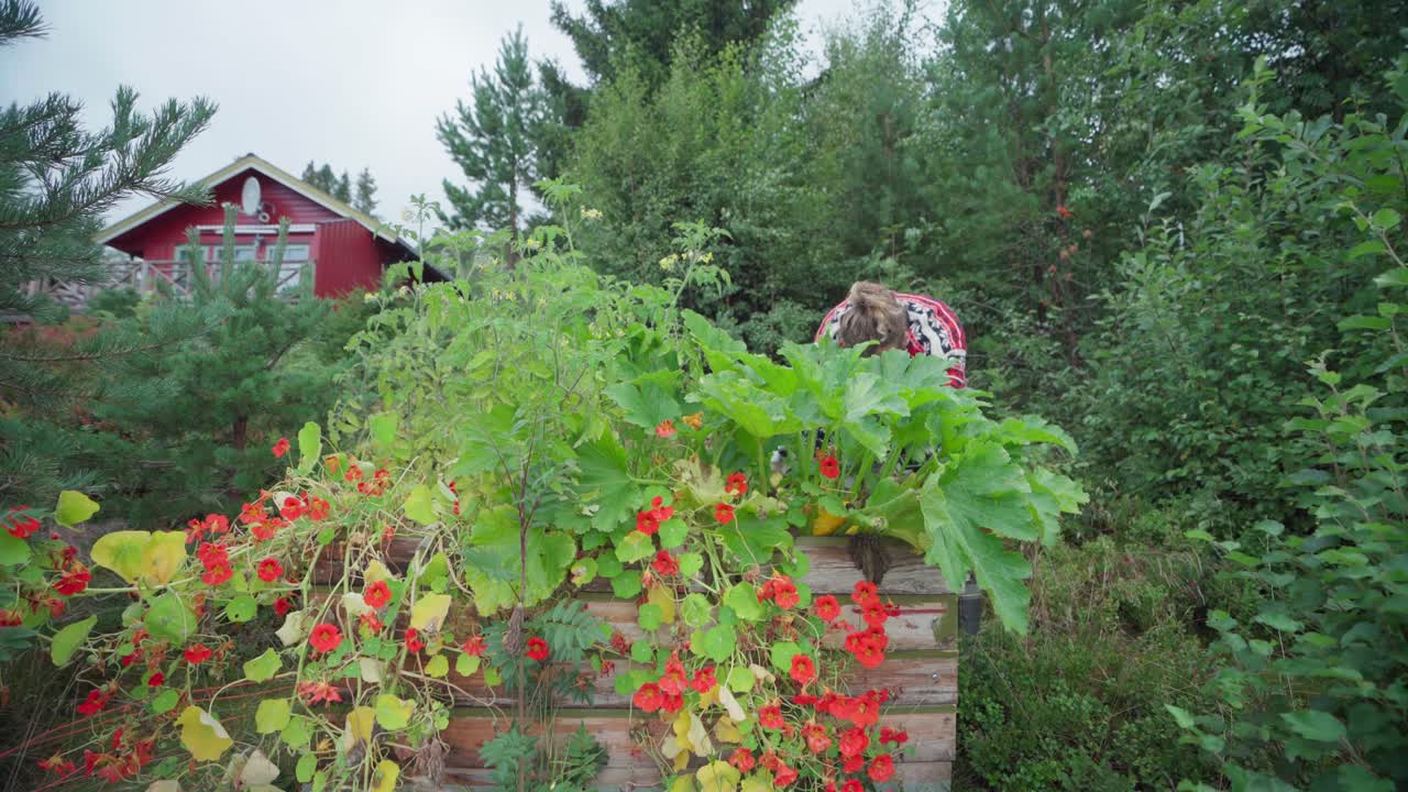 молодой бородатый мужчина обрезает и удаляет сломанные листья растения в саду в ветреный день