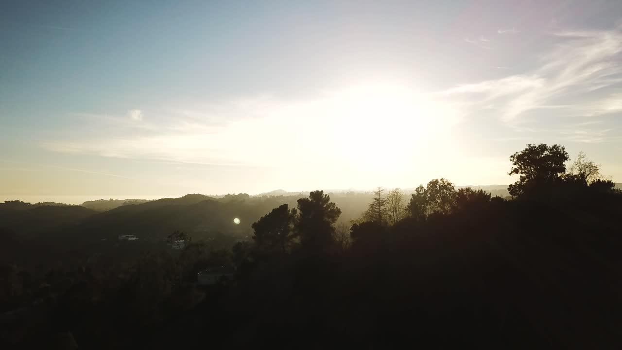 Sun rays coming through trees and forest at golden hour.
