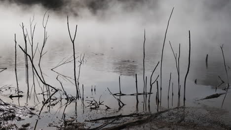 an ominous geothermal pond surrounded by dead sticks and steam