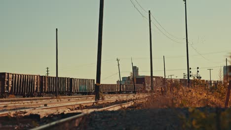 freight train cargo cars parked at abandoned industrial city railway yard as birds fly overhead during golden hour cinematic 4k