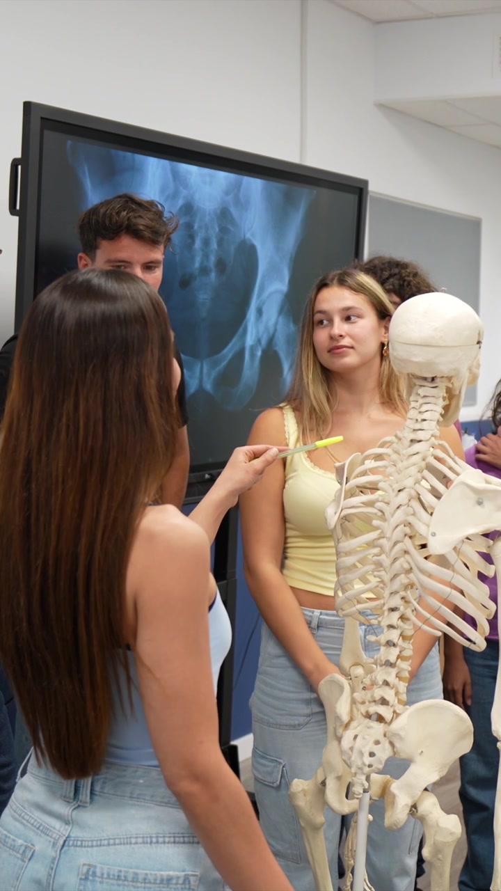 Students and Teacher Learning Anatomy with Skeleton Model and X-ray
