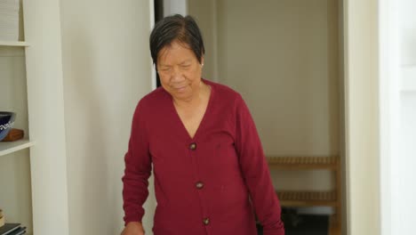 senior woman walking with walking stick