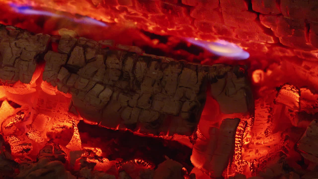 불타는 나무의 활기찬 세부 사항