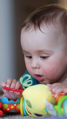 bright toy in the hands of a baby lying on the carpet. focused toddler boy playing with a toy indoors. blurred backdrop. vertical video