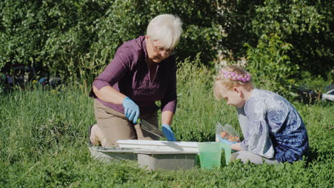 Grandmother-And-Granddaughter-Put-Flowers-Together-In-The-Yard-Active-Senior-People-Concept