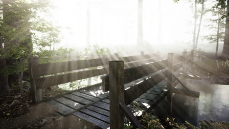 Puente-De-Madera-En-El-Bosque-En-La-Niebla