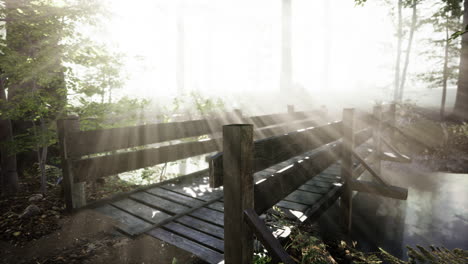 wooden bridge in the forest in the fog