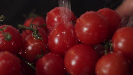 beautiful tasty ripe red cherry tomatoes rinsed in fresh pure water - close up