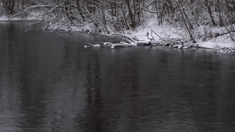 Río-En-Invierno,-Agua-Corriente,-árbol-Roto-Nevado-En-El-Agua