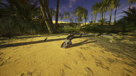desert landscape featuring a skull among palm trees during sunset
