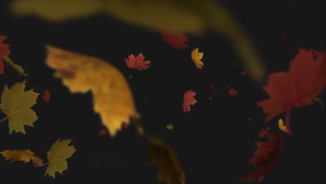 Animation-of-autumn-leaves-falling-on-black-background
