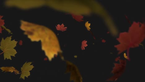 animation of autumn leaves falling on black background