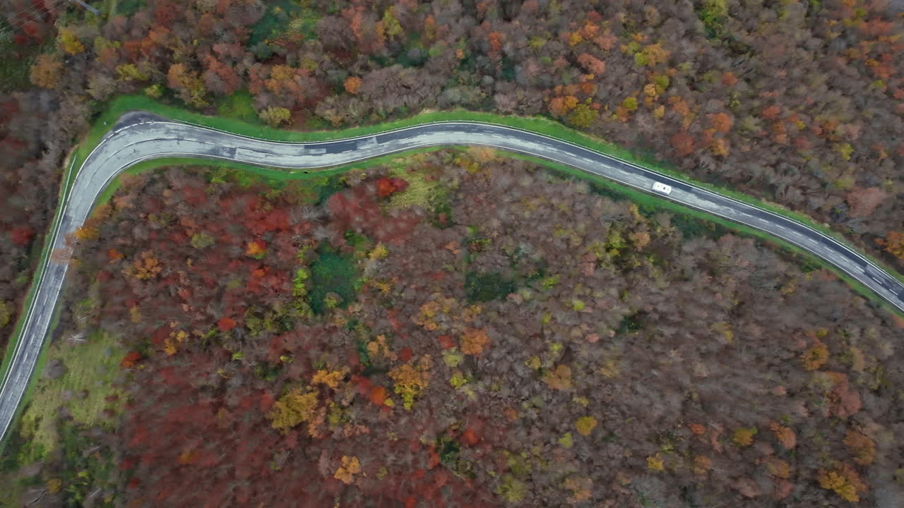 vista aérea de un camino sinuoso a través del bosque de otoño