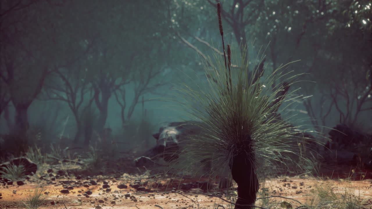 Dawn unveils hidden nature and soft light dancing through trees