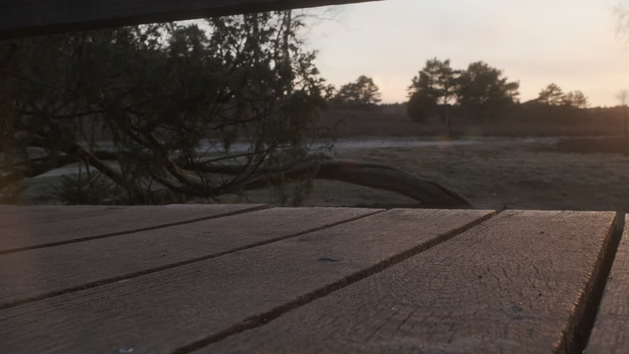 Man Walking on Wooden Bridge in Nature During Sunset with White Sneakers and Jeans (Büsenbachtal, Germany)
