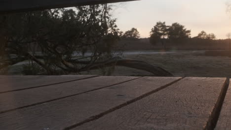 man walking on wooden bridge in nature during sunset with white sneakers and jeans (büsenbachtal, germany)