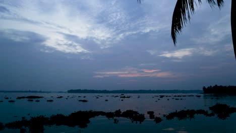 backwater-blue-sky-silhouette,-Steady-shot