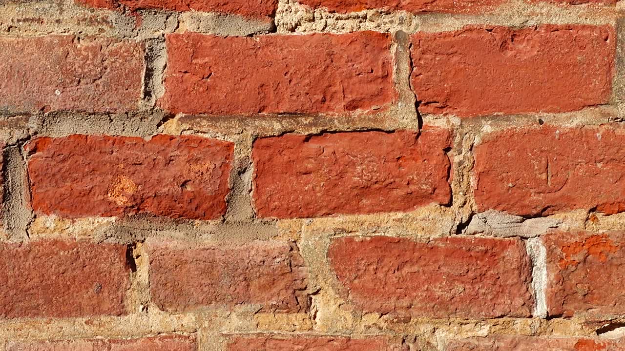 The wall is brick. Shooting background