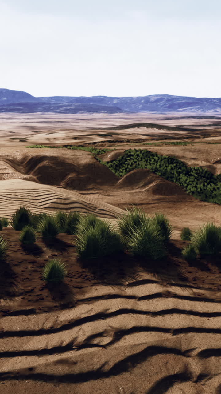 hermosa duna de arena naranja amarilla en el desierto de asia central