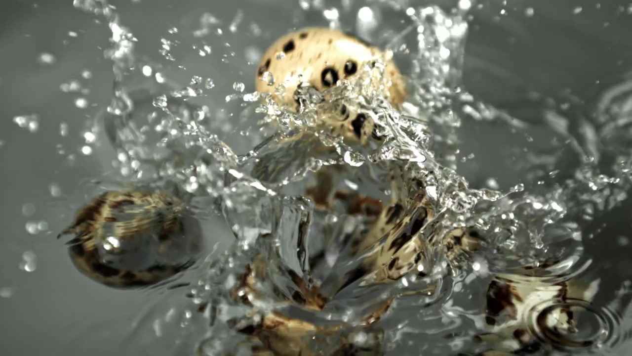 Quail Eggs Falling into Water and Splashing in Slow Motion