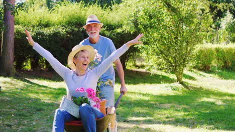 Senior-man-pushing-wife-sitting-on-wheelbarrow