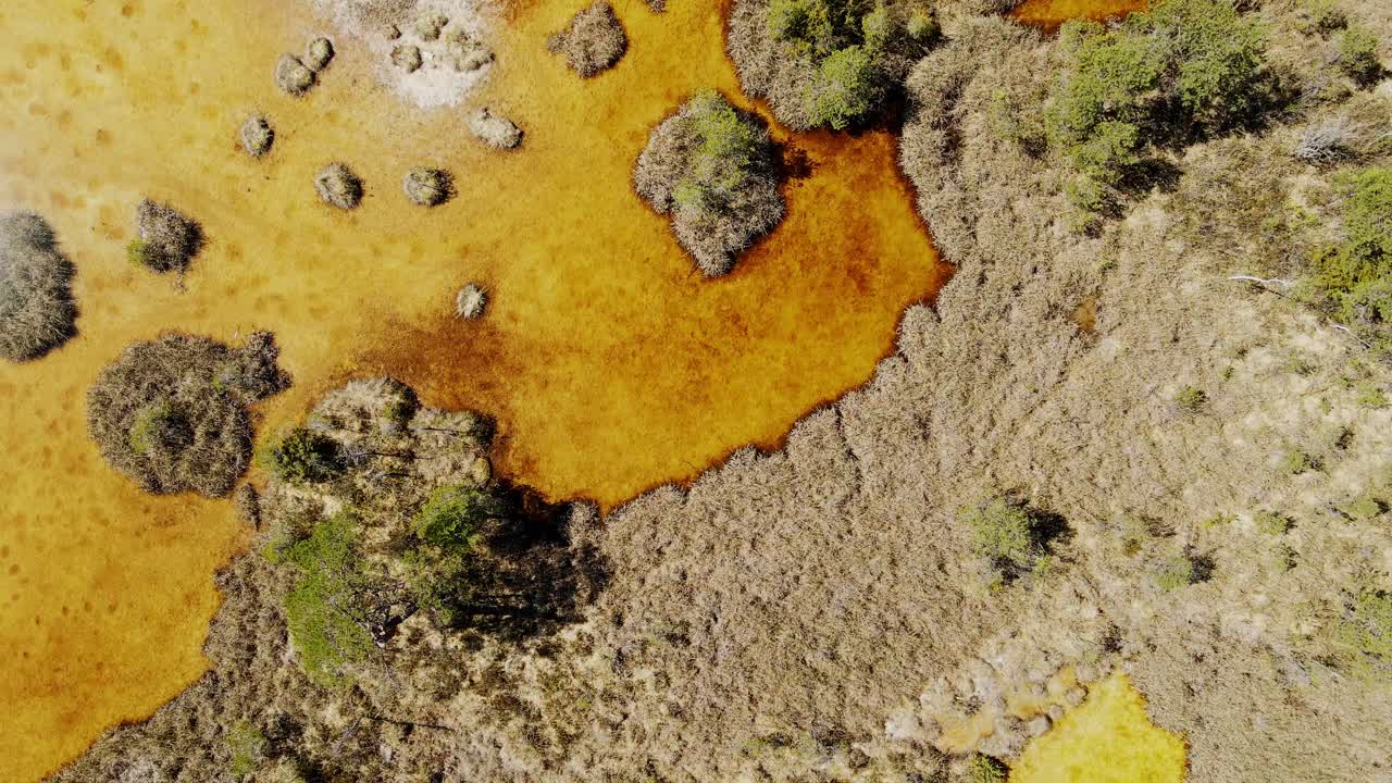 Aerial of marshland with sulfur deposits creating vivid yellow and brown tones
