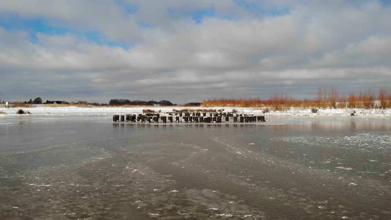 Aerial view over frozen lake with tree trunks and snowy field