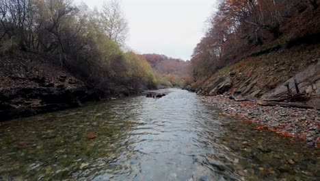 un vuelo de drones fpv a baja altura sobre un río que fluye a través de un bosque, con vegetación otoñal a los lados, una playa pedregosa y algunos troncos de árboles