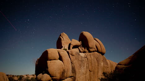 Starlapse-Joshua-Tree