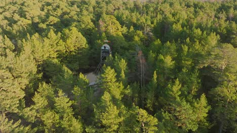 aerial birdseye view of modern boat shaped observation watchtower in the middle of pine tree forest, nordic woodland, forest trail, sunny evening, golden hour light, orbiting drone shot